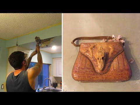 ما اكتشفه رجل يرمم سقف المطبخ