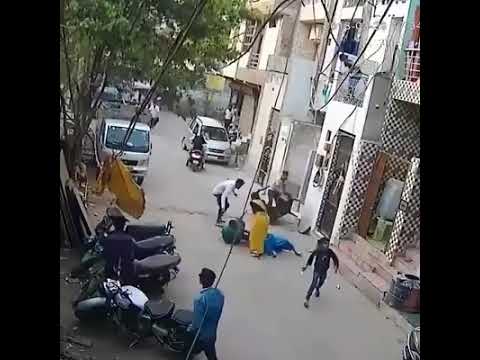 كلب شرس يهاجم طفلًا وسيدة عجوزًا