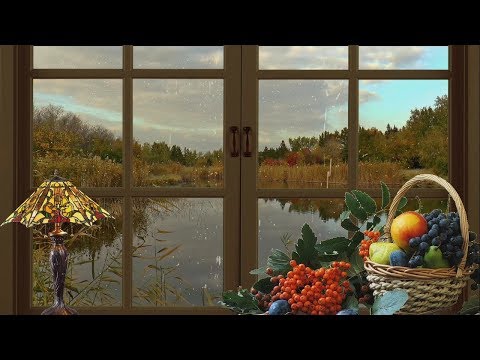 صوت المطر والرعد  اصوات الطبيعة  استرخاء دراسة تأمل نوم