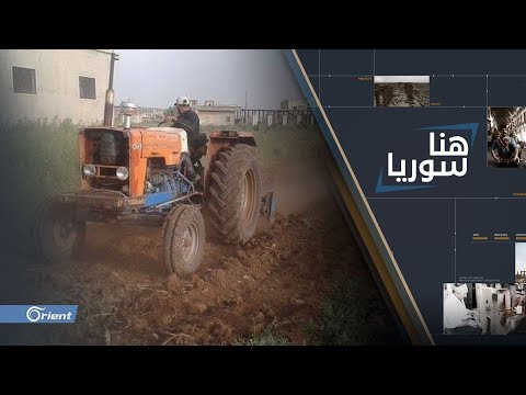 شاهد علاقة الحكومة السورية بتراجع المحصول الزراعي