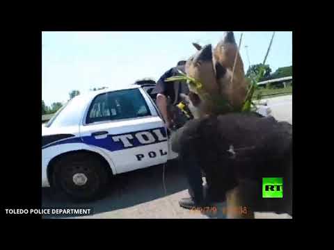 شاهد شرطة المرور في ولاية أميركية تنقذ غزالًا قرب طريق سريع