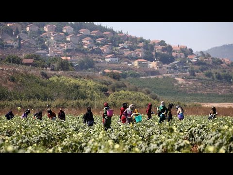 شاهد أهالي جنوب لبنان يعلنون التحدي ضد إسرائيل