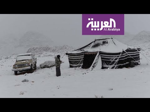 شاهد تساقط الثلوج على مناطق شمال السعودية