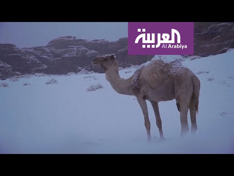 شاهد السعودية تحت كتلة باردة وتبوك والجوف تترقبان الثلج