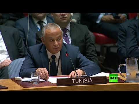 شاهد مندوب تونس الأممي يؤكد أن إنهاء احتلال إسرائيل يعيد الأمن والاستقرار إلى المنطقة