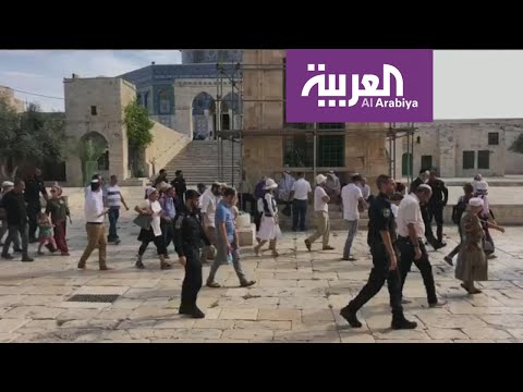 شاهد متطرفون يهود يقتحمون باحة المسجد الأقصى ومخاوف من تقسيمه زمانيًا ومكانيًا