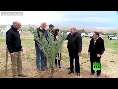 شاهد بنيامين نتنياهو يزرع شجرة في غور الأردن ويعتبر هذه المنطقة جزءًا من إسرائيل