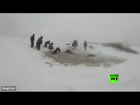 شاهد مواطنون روس ينقذون خيولًا سقطت تحت المياه المتجمدة