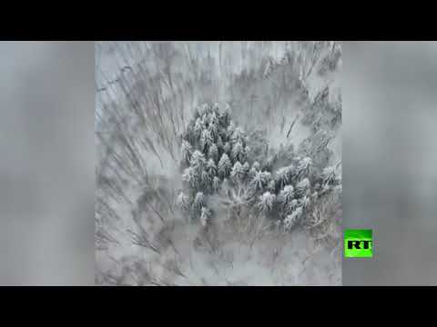 شاهد لقطات جوية للغابات المغطاة بالثلوج في إيران