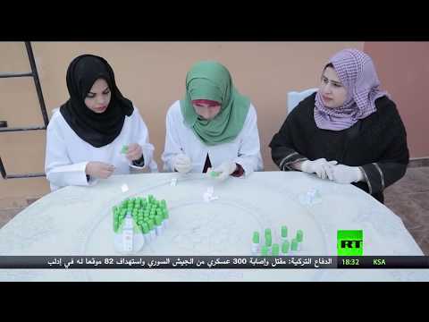 شاهد نبتة السكر مشروع طموح بديل للسكر الطبيعي في غزّة