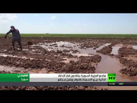 شاهد مزارعو الجزيرة السورية الإنتاج والمردود