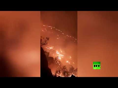 شاهد حرائق الغابات في إيران تُنذر بكارثة بيئية وسط عجز السلطات