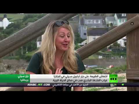 الوجه الآخر لـكورونا يُنعش الحياة الطبيعية في جزر إنجلترا